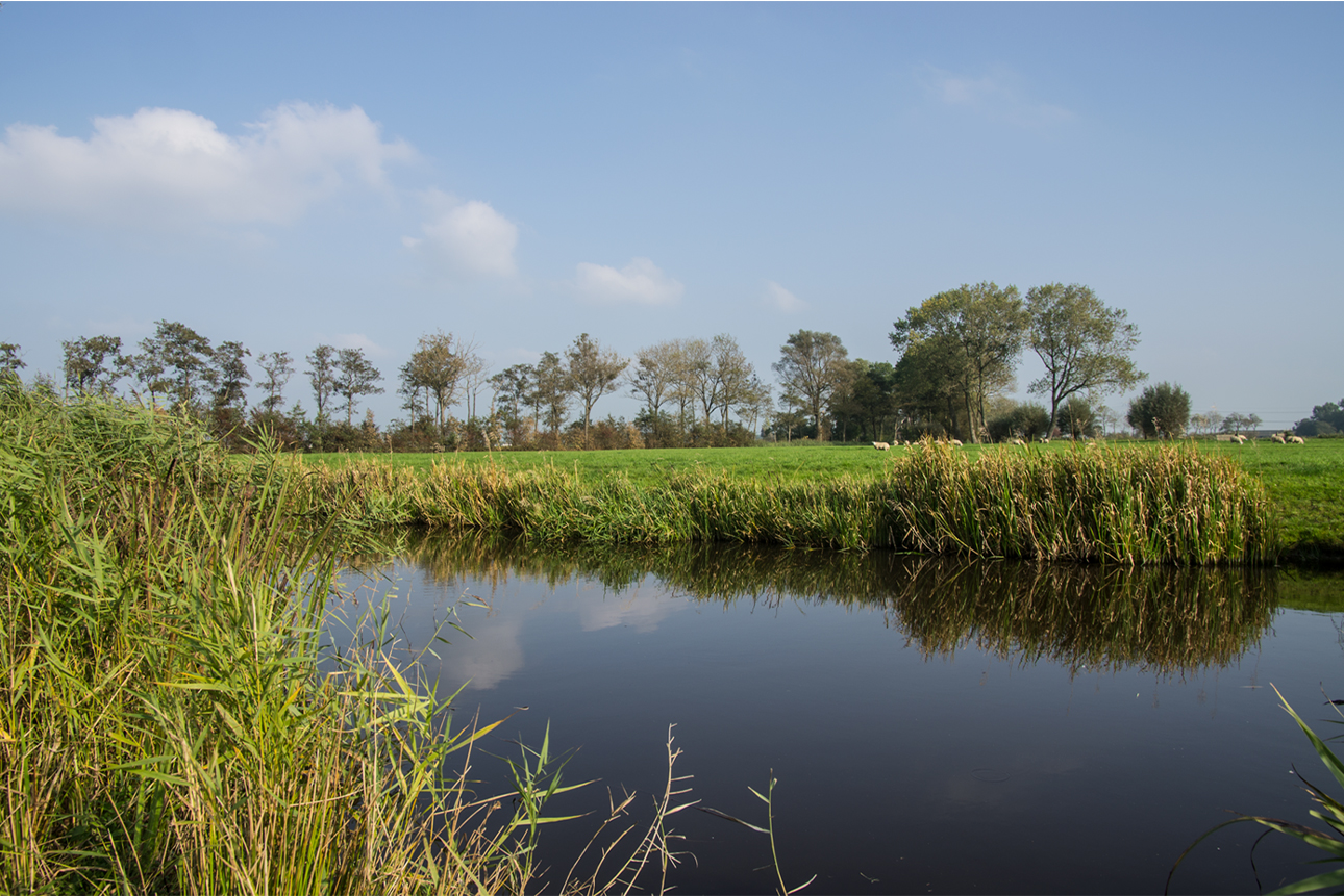 ondersteunende grondstroom en handel